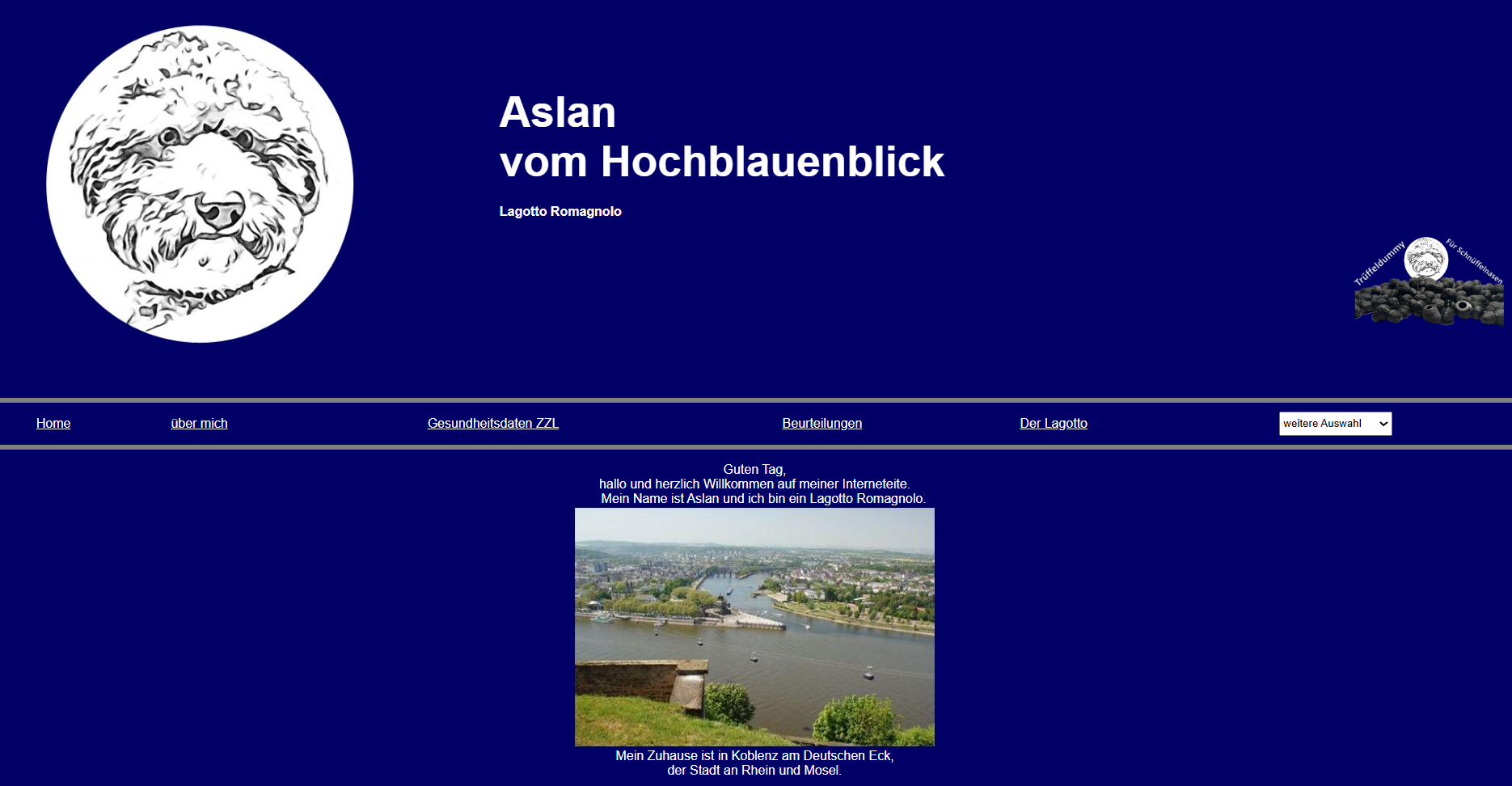 Homepage Aslan