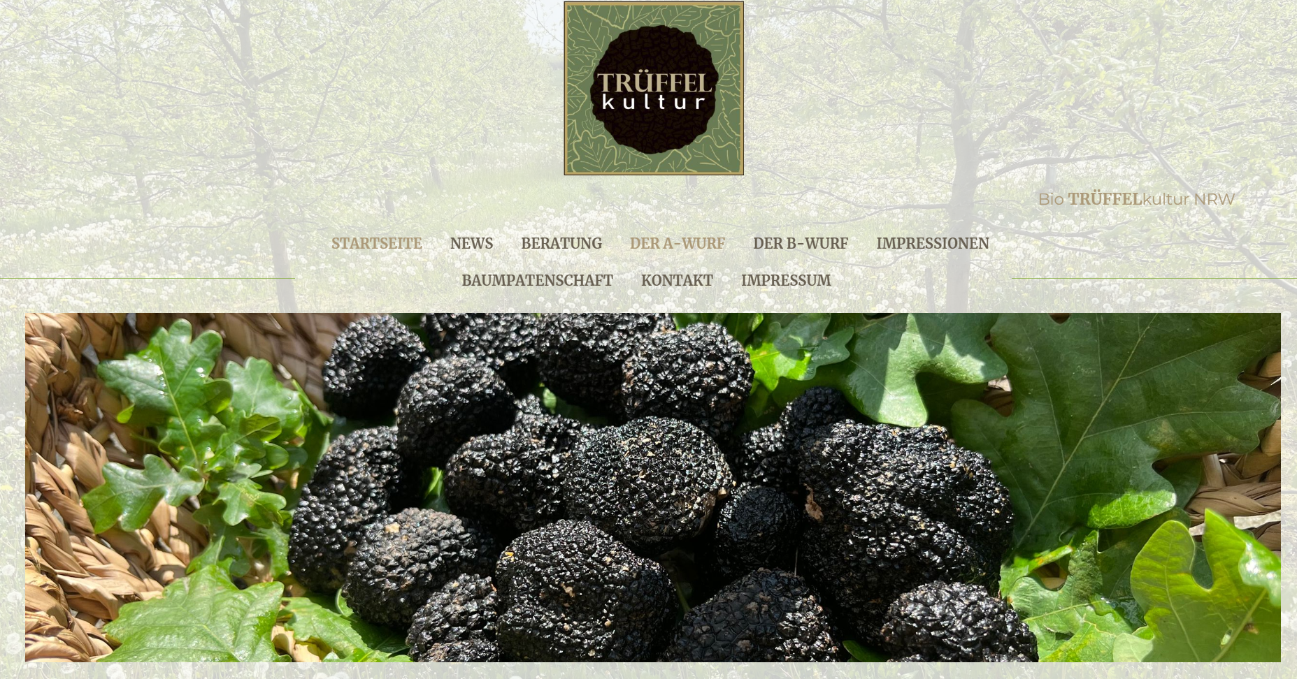 Von der Tr�ffelkultur